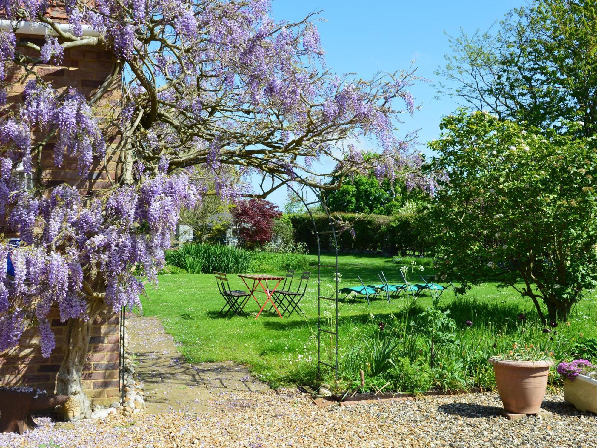 Wisteria Cottage 盖顿 外观 照片